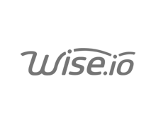 logo-wiseio